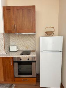 Cozy Mountain Apartment