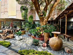 Casa El Oasis de Ica