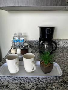 Avitat Fit 3Hab 5P Espectacular Vista al Volcan