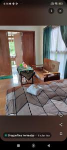 Dragonflies Homestay