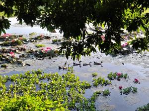 Cu Chi Boutique Countryside