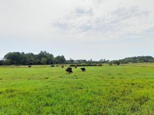 Cu Chi Boutique Countryside