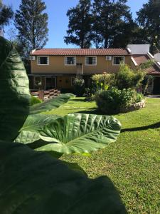 cabañas el viejo ciprés 1