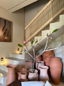 Villa Aconchego - Casas de Luxo