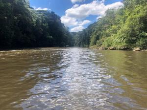 Sítio com privacidade - cachoeira e mata atlântica