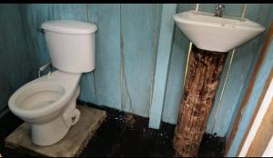 Atacuari Salvaje Tours Amazonas