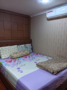 Apart Green Central Full furnish