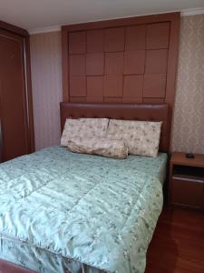 Apart Green Central Full furnish