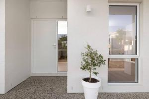 Centella House