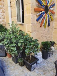 2 Large ensuite Bedrooms in Boutique Style Farmhouse B&B with Pool