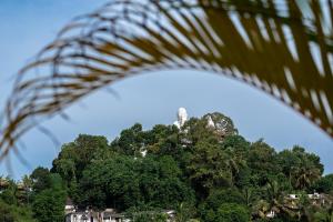 Windy Ridge Kandy