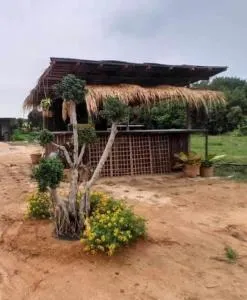 ทุ่งนากางเต้นท์ Countryside - Ban Nong Bua Wong
