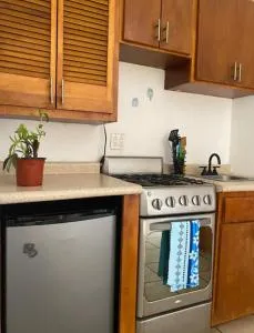 Departamento en el centro cerca de la playa - El Centenario