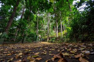 Windy Ridge Kandy