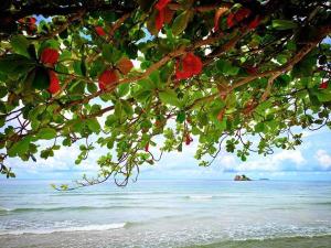 ทีพักติดหาดแหลม​แม่พิมพ์​Mantra Condo​ Rayong​