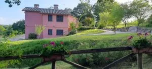 L'Albero degli Struzzi - Lugnano in Teverina