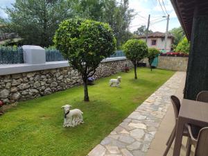 Apartamentos La Tarazana