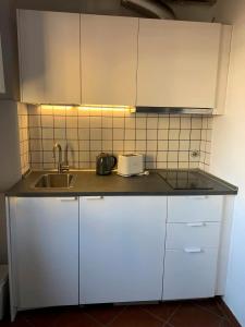 Cosy Apt in central Florence