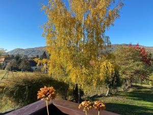 Pension Irina