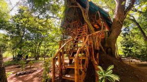 Ali Adi Eco Lodge