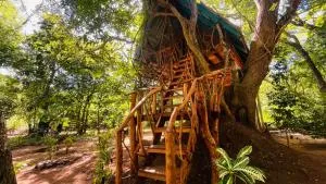 Ali Adi Eco Lodge - Kibissa