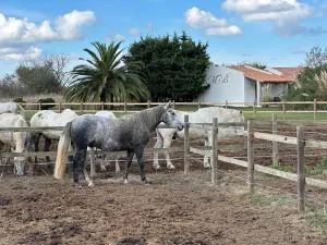 马斯德巴雷斯酒店 - 希维雷尔