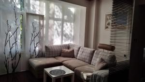 Sofia Zen - on Metro, ultra fast Wi-Fi