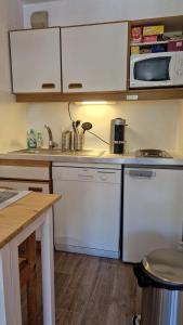 Appartements Studio central proche des pistes : photos des chambres