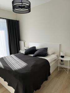Apartament Moniuszki