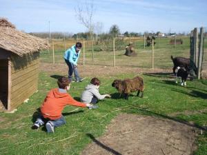 Campings Camping 4 etoiles - Parc aquatique - efcia0 : photos des chambres
