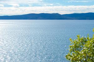 Apartmani Cele Brela