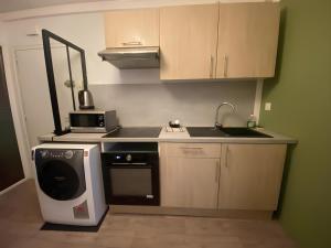 Appartements Berlioz Appartement spacieux et lumineux 