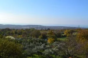 Terra del Carso - Aurisina