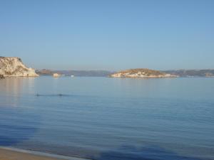 Ansi Studios & Apartments