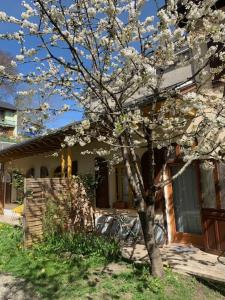 Appartements Charmant appartement sur cour, Le Cerisier : photos des chambres