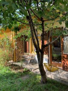 Appartements Charmant appartement sur cour, Le Cerisier : photos des chambres