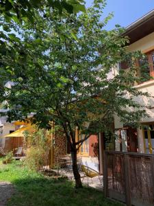 Appartements Charmant appartement sur cour, Le Cerisier : Appartement 1 Chambre