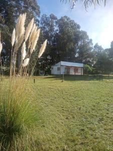 Loft Pura Vida Chapadmalal