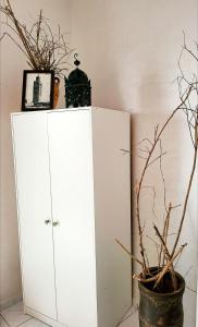 Riad traditionnel de charme 3 chambres