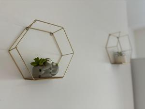 Star Road Home, central location, FREE parking