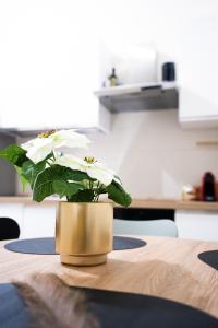 Verona Escape Home - 2 Bedrooms