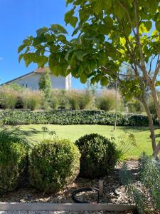 Appartements Logement avec hammam - 130 m2 et jardin - Terre de Cocon : photos des chambres