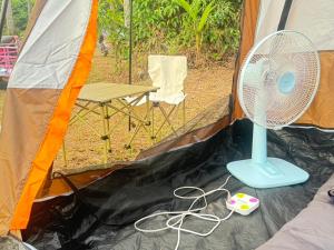 Tent Room ผู้ใหญ่วุ้น