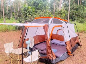 Tent Room ผู้ใหญ่วุ้น