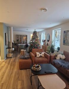 Ski-VM i Trondheim 2025, house with 5 big bedrooms