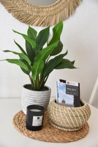 Charming studio with terrace 5 minutes from Murten