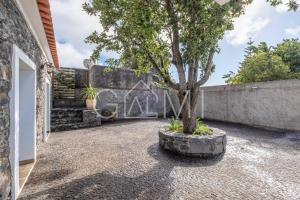 Casa do Maurício by GALMI