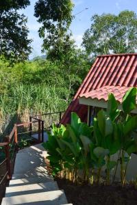 Pachakuti Eco-vida Hotel