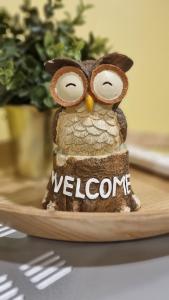 Appartements Ready Appartement proche aeroport Orly : photos des chambres