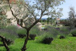 Maisons de vacances Les Jardins de Bouteille : photos des chambres